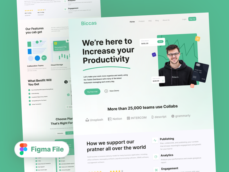 Saas Landing Pages
